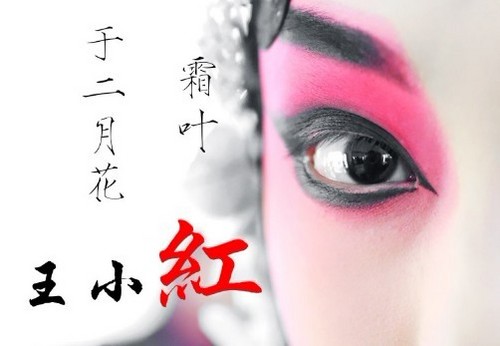 wangxiaohong1's profile picture. 曾经的红姐以随风而去