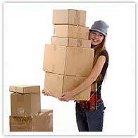 packers_movers's profile picture. 