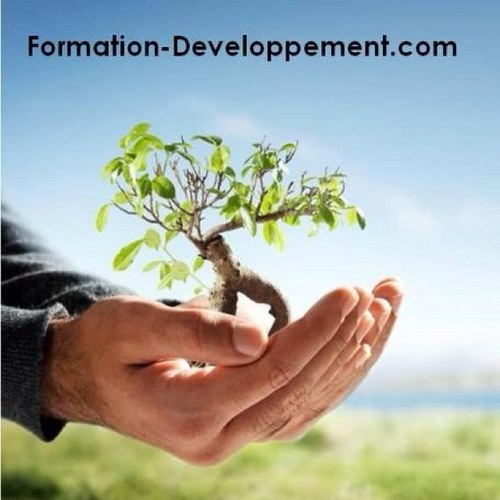 Institut de Formation : #Communication #Management #Innovation #Transformation #Performance #Entrepreneuriat