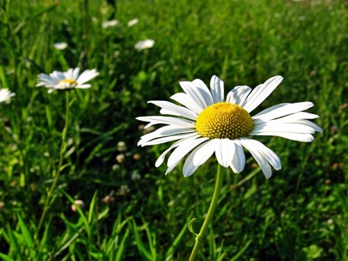 #взаимный фоловинг#читаю взаимно