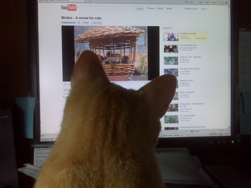 AndreaSabata's profile picture. Skyline's performing arts booking goddess!