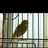ali_a8q8's profile image