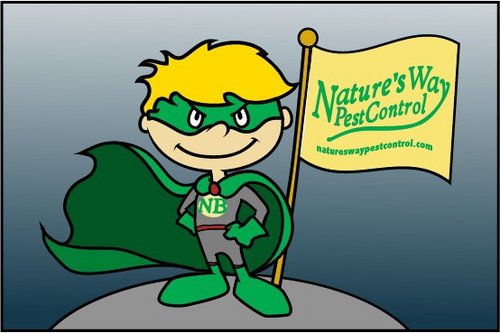We are the leaders in Carpenter Ant control! From Albany to Plattsburgh NY, Rutland and Burlington VT.. http://t.co/ZDwxCiuU