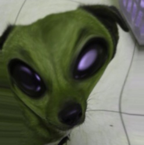 Paddylta's profile picture. 