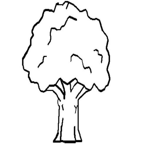 MD_Holliday's profile picture. 