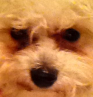 Blondenuneen's profile picture. 