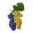 VinoMara's profile image