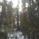 Mark Downey - @madowney - Twitter