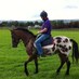 Joe Foley (@joefoleybally) Twitter profile photo Joe Foley (@joefoleybally) Twitter profile photo