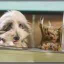 Beth Steel - @bethinjax - Twitter