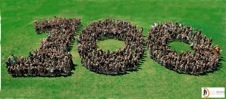 Mona Vale Public School turns 100 this year. Come and celebrate with us on Sat. 15th September