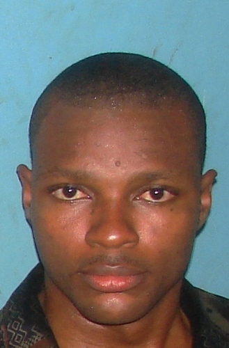 ozochia's profile picture. Developer of Mind for Creativity / Innovation and Brain for Reasoning(GIGO)