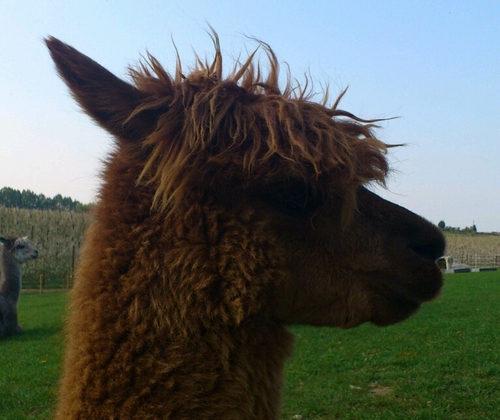 jcf297's profile picture. 