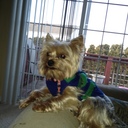 Jake Snyder - @JakeandTori - Twitter