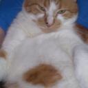 Heather  Pressley - @SydMarv - Twitter