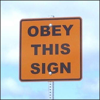 Crazy, weird, stupid, and funny laws