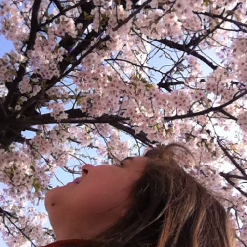 Claire Montgomery-Ka