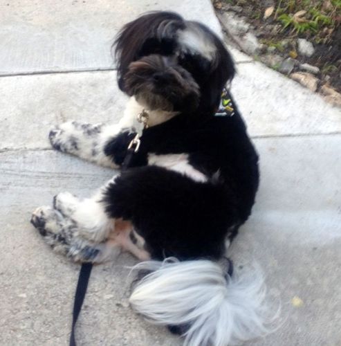 jeanorjeanny's profile picture. I'm here live, I'm not a cat.