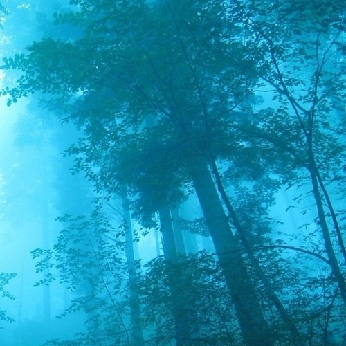 DuffMcWhelan's profile picture. 