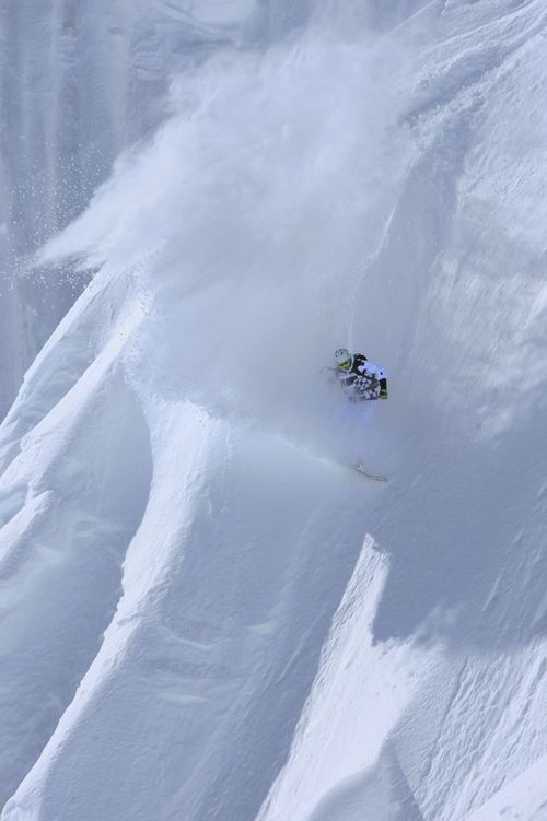 dave_thewave's profile picture. 