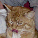 Ben Wall - @wellnab - Twitter