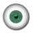 observador1971's profile image