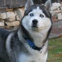 Sal Navarro - @SalNavarro1 - Twitter