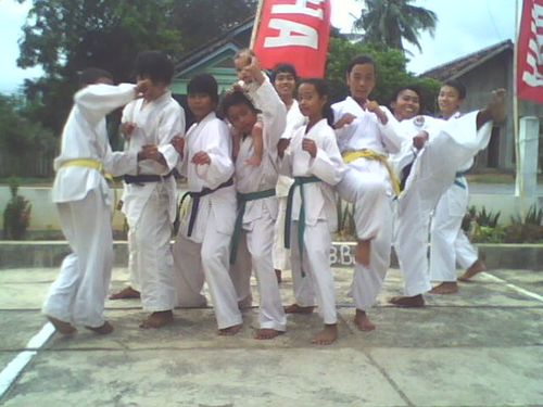 DWadokai's profile picture. 