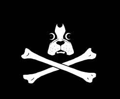Gods battle ax and weapon of war, Fan of living life, Football, MMA, Comedy, Friends and Family