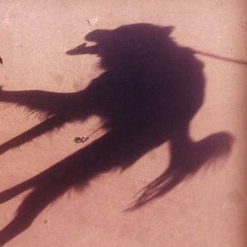 RTDBau's profile picture. 