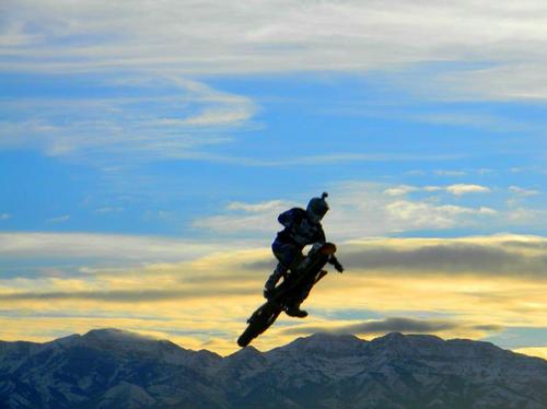 mattmoto441's profile picture. Just a guy, trying to survive