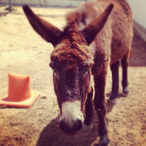 Sinannasirli's profile picture. 