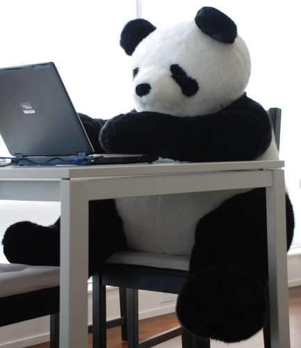 mingmingkong's profile picture. 