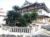 「黄金の歴史を彩る奇跡の聖地」
市内堺区の一等地とは思えない、安らぎ世界が皆様をお待ちしております。