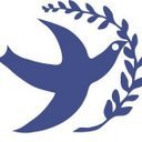 domainer100's profile picture. Premium Domain Seller