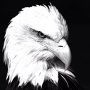 emin özgür - @emin_ozgur - Twitter