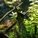 Daniel Drent - @DrentDaniel - Twitter