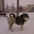 Aran_Perianes's profile image