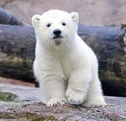 aaamizuka's profile picture. 熊本出身☆大学3年☆西野カナ♡Greeeen♡ファンモン♡Mr.children♡AKG♡AKB48♡