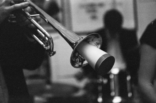 samejy's profile picture. 