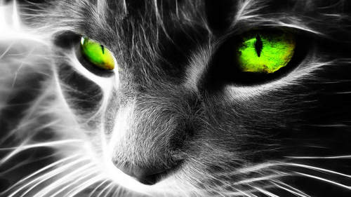 LilyStarlol's profile picture. I like anything game related. League of Legends player!