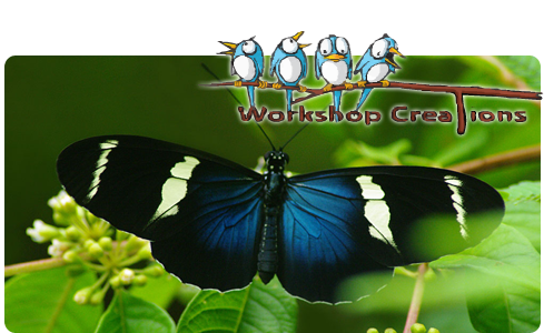 owner of workshop creations, affordable housing and feeders for birds bats and butterflies. Retired Firefighter, Lifelong woodworker.