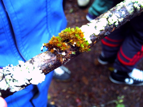 Jose191099's profile picture. Youtuber Español, fan de Jackass.
Me encanta los temas de ciencia, quimica etc.
Podeis seguir mi canal de youtube:
http://t.co/GvRRvixoEb