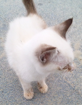 kzyn5255's profile picture. 相模中 海老高 春から昭和薬科 EXILE 三代目 ワンオク