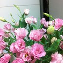 Amy Chen - @ChenAmy1 - Twitter