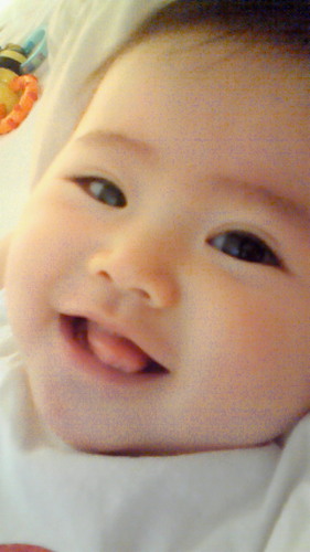 noi_noi_kimi's profile picture. 原発反対！！