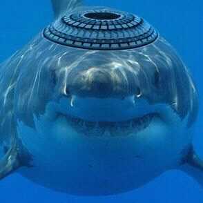 NAPOWER.BIZ/157479 U