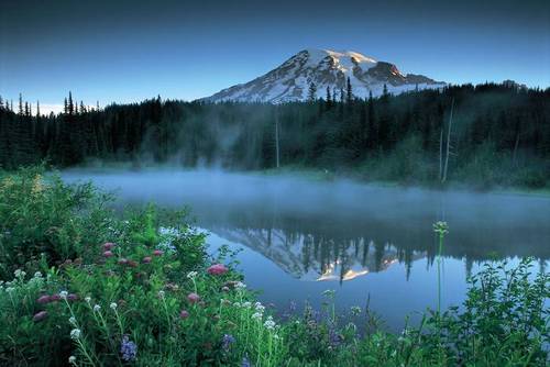 ThaloTheGreat's profile picture. 