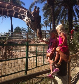 semlan00's profile picture. GAIS GAIS GAIS