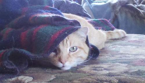 oceandeep6's profile picture. Animals, Water and to boldly go almost any where.